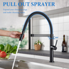 Single Handle Kitchen Sink Faucet, Commercial Kitchen Faucet with Pull-down Spray