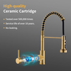 Gold Kitchen Faucet, 360° Swivel Gold Kitchen Faucet with Hose, Faucet with Pull-out Sprayer for Kitchen Sink Hot And Cold Accessories