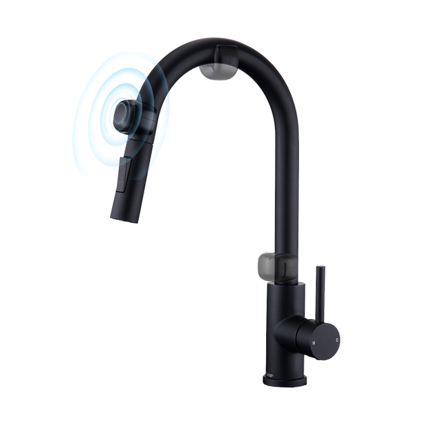 Modern Smart Matte Black Kitchen Stainless Steel Faucet
